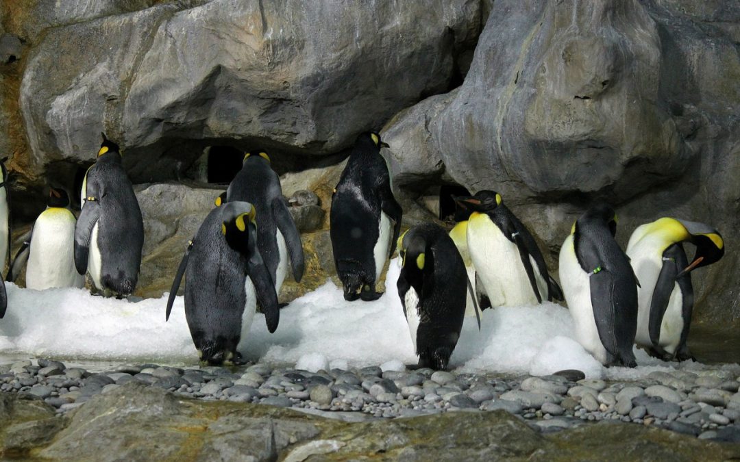 Dépannage climatisation Nancy